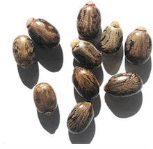 Load image into Gallery viewer, Haitian Castor Oil (Lwil Maskreti)
